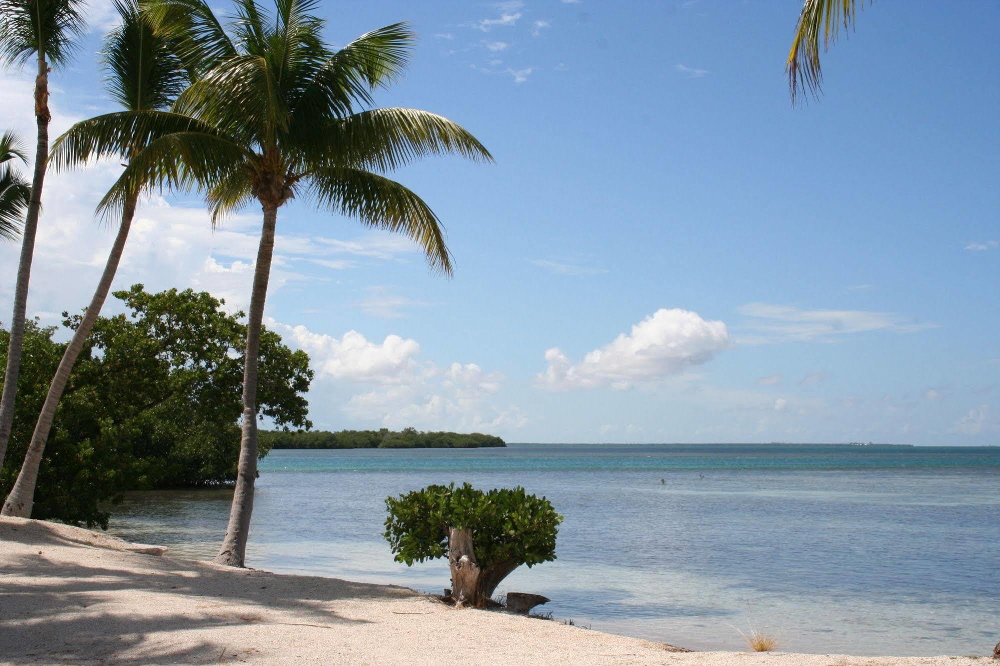 Sunshine Key Rv Resort & Marina บิกไพน์คีย์ ภายนอก รูปภาพ